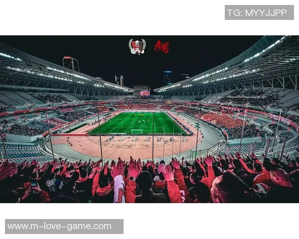 山鸡足球场的魅力与激情探索足球文化的独特风景线